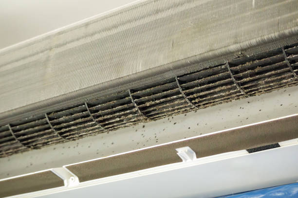 Best Air Duct Cleaning Near Me  in North Seekonk, MA